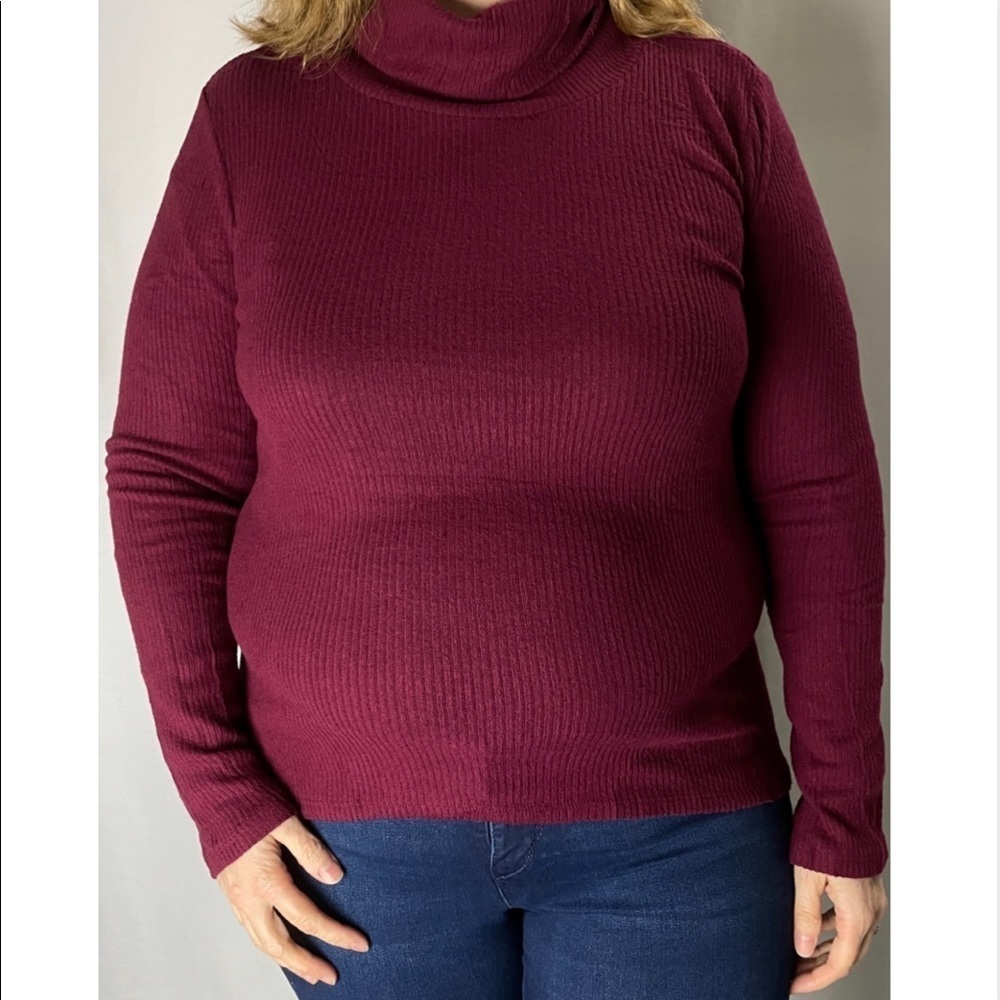 3/$30 ✨NEW✨ Plus Ribbed Burgundy Turtleneck